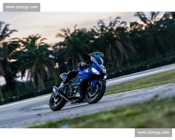 骑行进阶必学！掌握压弯核心：重心转移与安全法则